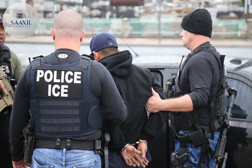 ICE detains British journalist Sami Hamdi at San Francisco airport as CAIR alleges political payback