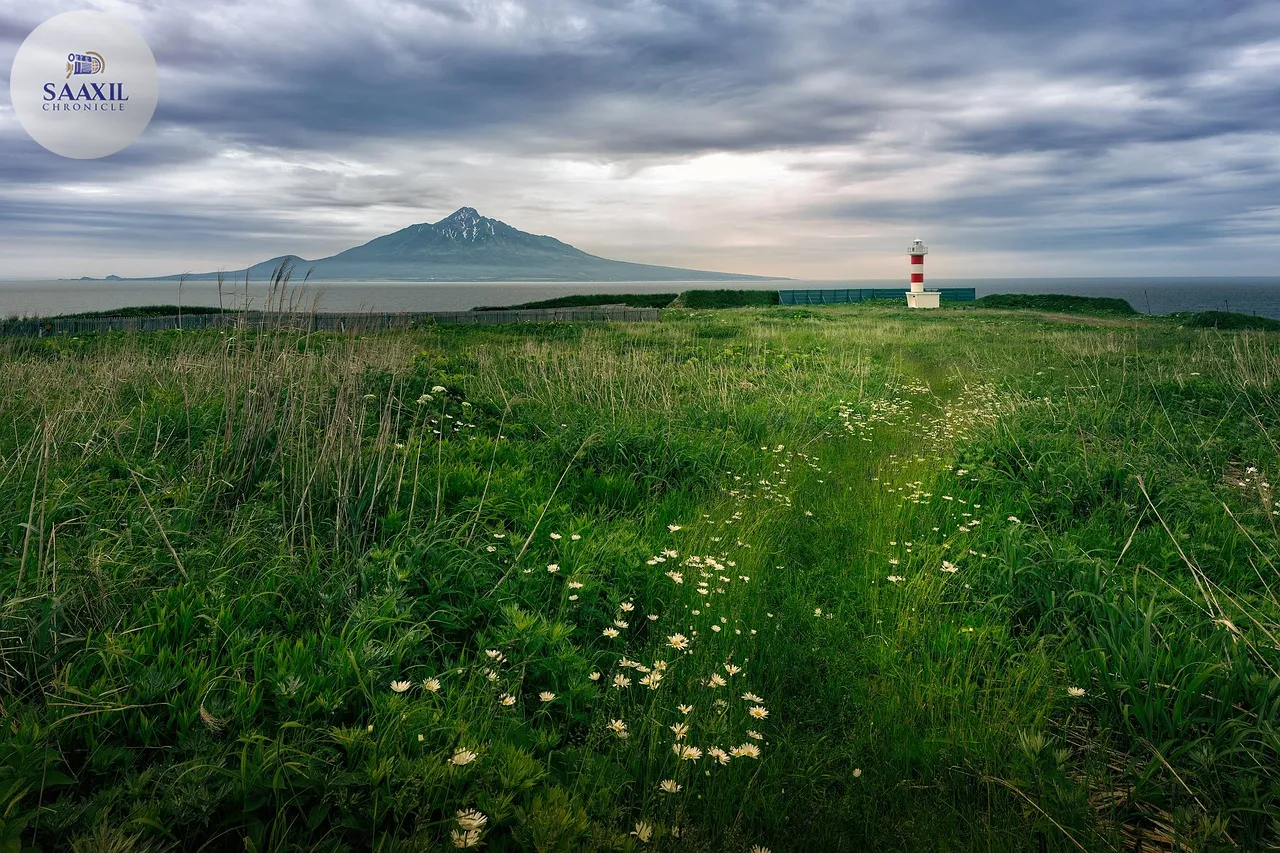 Twenty Minutes in Nature Can Lower Stress and Blood Pressure, Studies Suggest