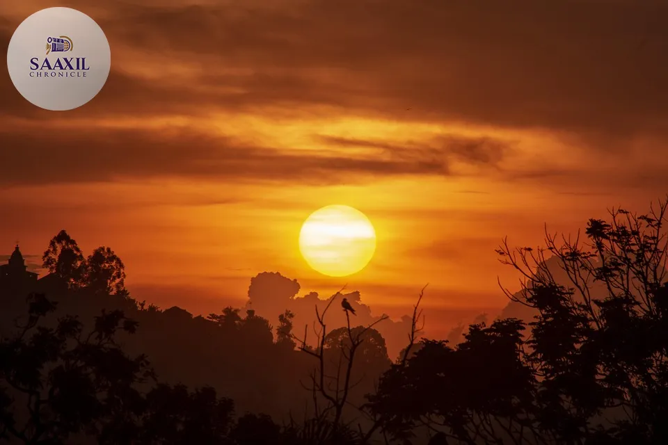 Uganda crash kills more than 60 as police confirm multi-vehicle collision