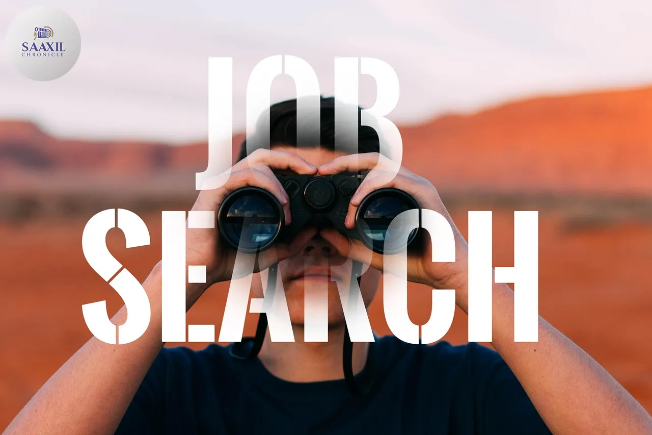 dream job, looking for, seek, application, job, work, looking for a job, job search