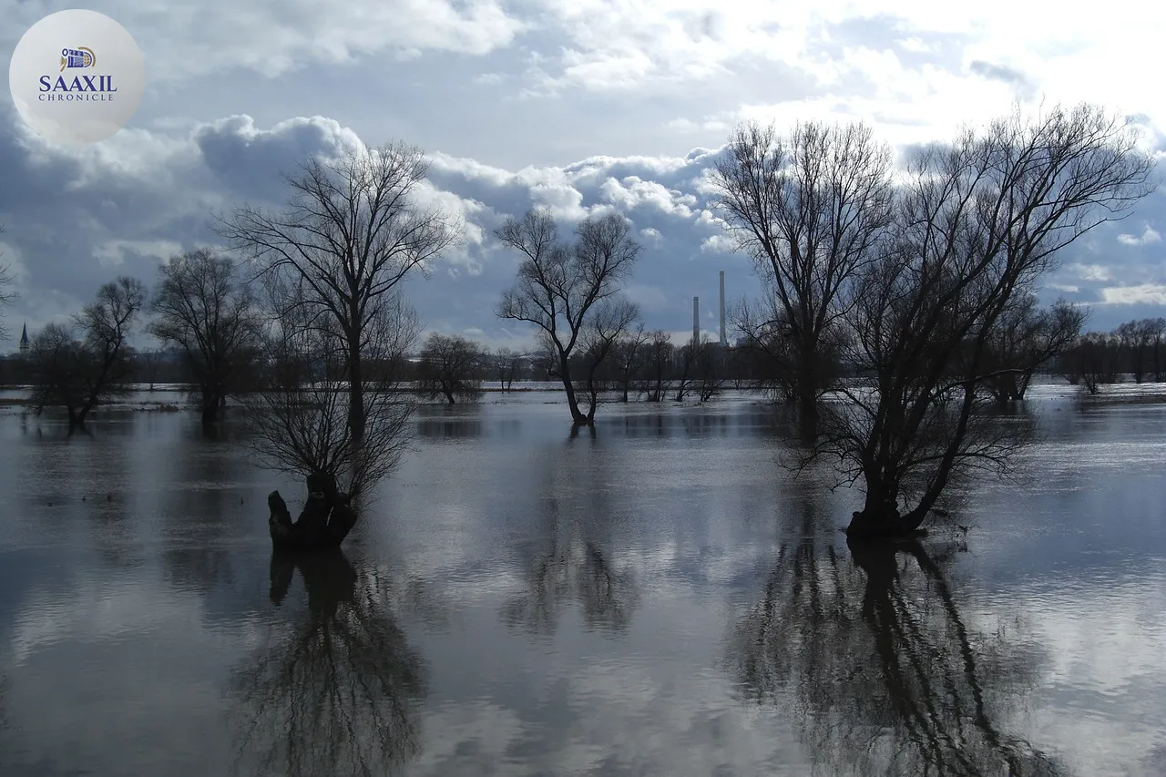 Welsh Government unveils £3,000 grants to help flood-hit Monmouthshire firms recover after Storm Claudia