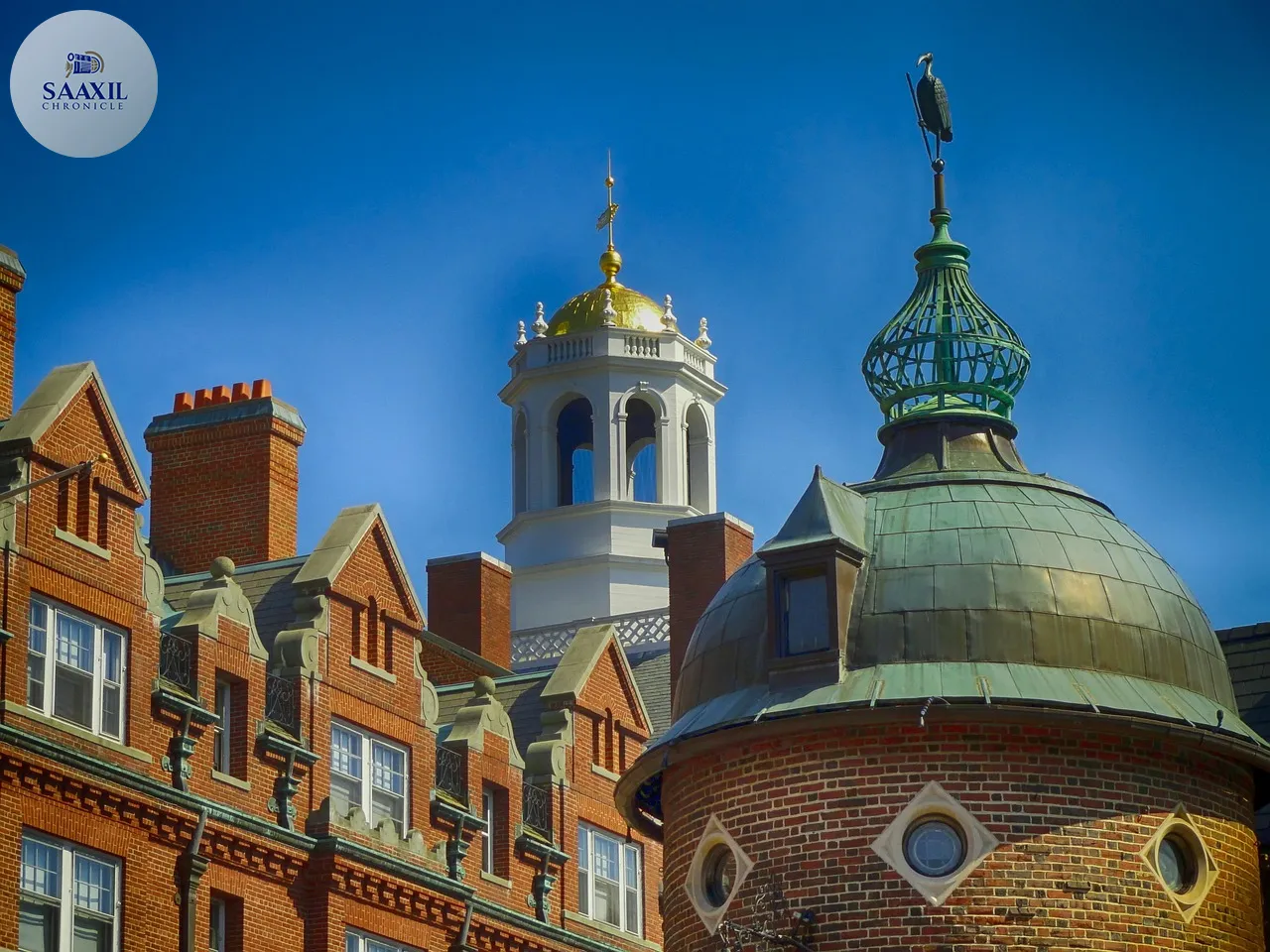 Larry Summers Steps Back After Epstein Emails, Says He Feels ‘Ashamed’