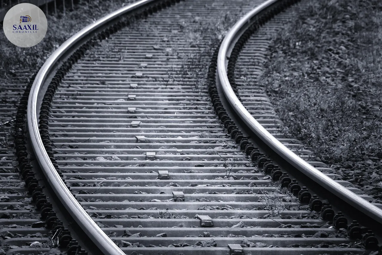 railway tracks, travel, rails, railroad tracks, track, train, railway, route