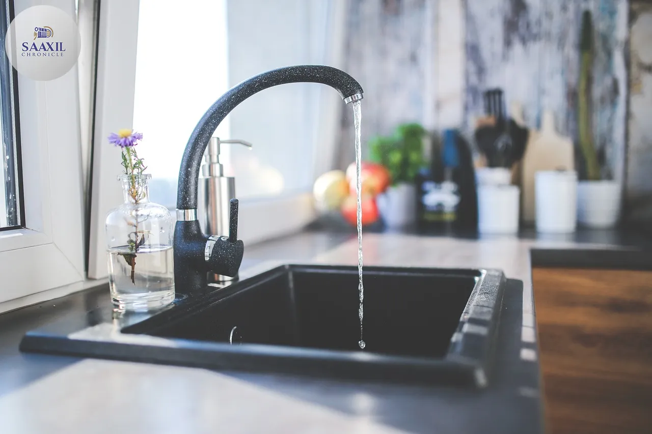 tap, black, nature, faucet, kitchen, sink, interior, design